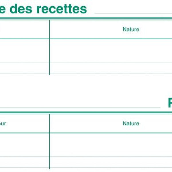 Livre chronologique des recettes - Papeterie Financière