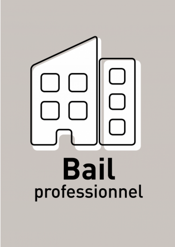 Bail Professionnel 1